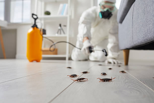 Trusted Termite Control service in Texas City, TX - Nex Pest Control