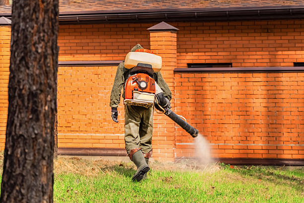 Trusted Rodent Control service in Texas City, TX - Nex Pest Control